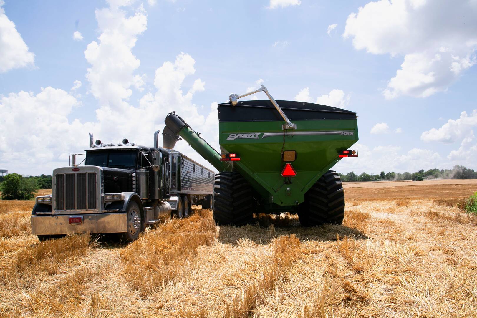 A tractor drops grain into a truck during the wheat harvest on a farm in Shelbyville, Ky., June 29, 2021. Lawmakers on the House and Senate agriculture committees released their own dueling frameworks for the 2024 federal farm bill May 17, 2024. (OSV News Photo/Amira Karaoud, Reuters)