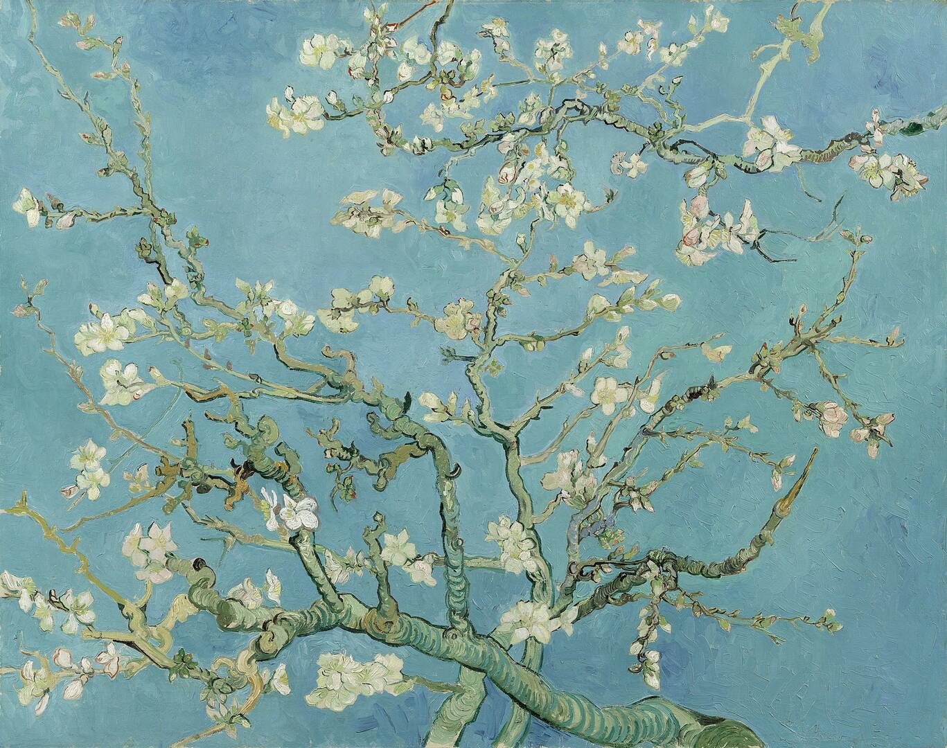 ‘Almond Blossom’ by Vincent van Gogh (Wikimedia)