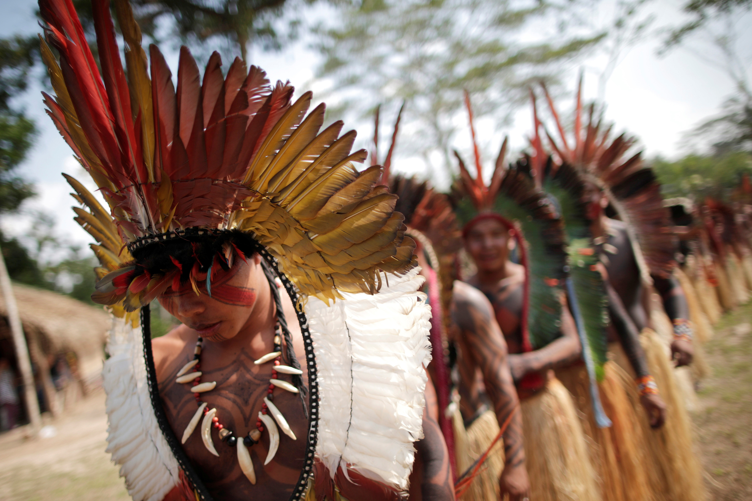 Indigenous amazon tribes