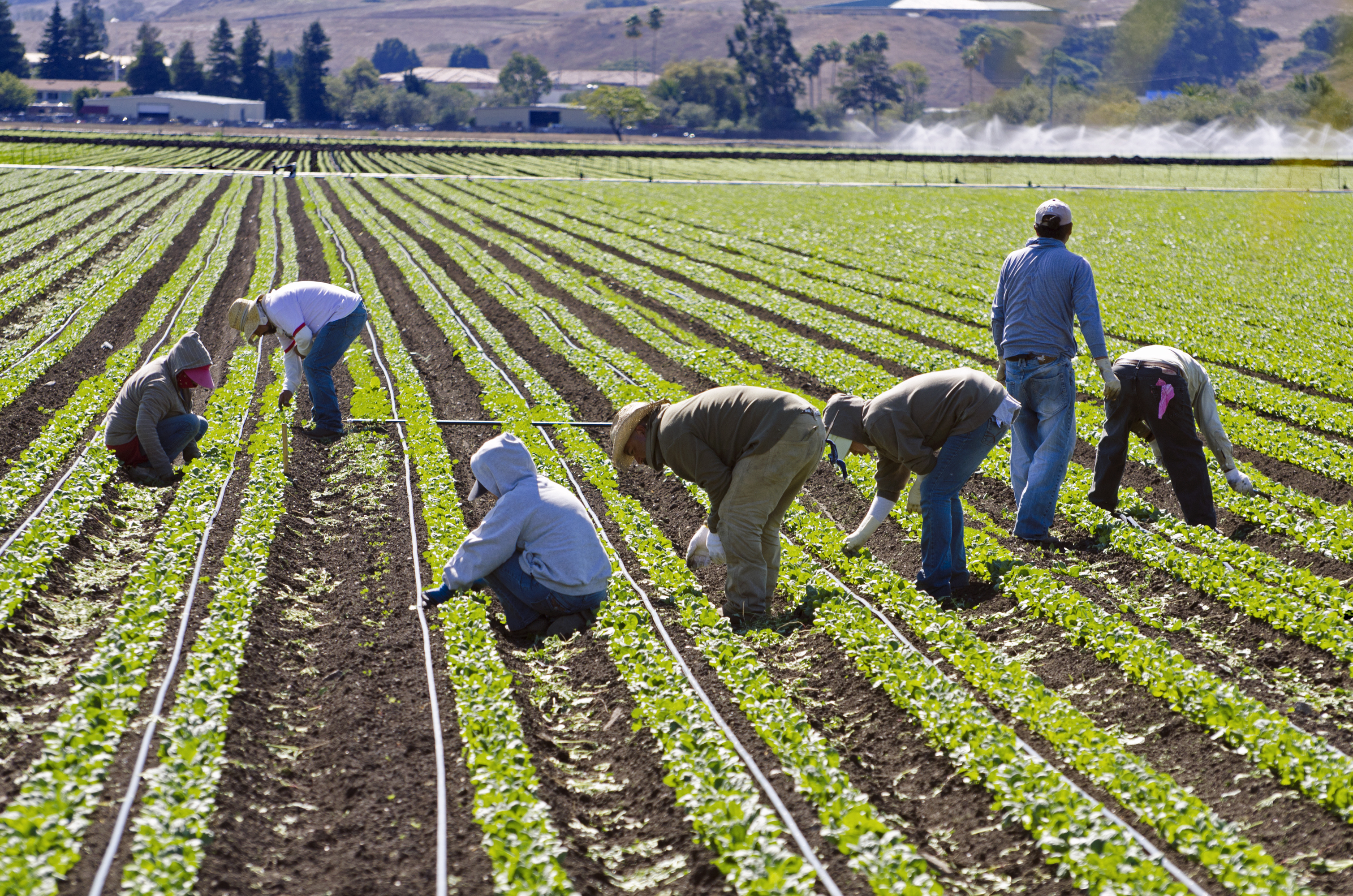 Catholic Groups Concerned By 2018 Farm Bill America Magazine