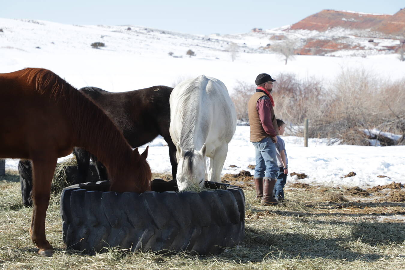 A visit to the rural Catholic college that has 171 students, 12 horses and zero textbooks America Magazine image